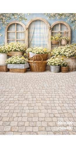 Tło fotograficzne „Rustykalne okna z koszami stokrotek” | E871